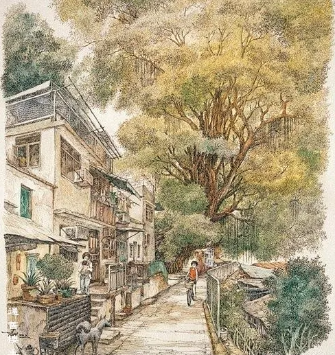 debian11的apt-get update报错